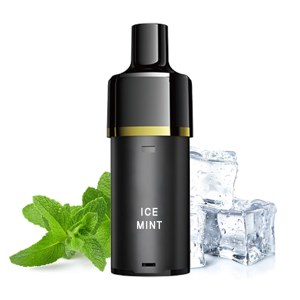 ILOOM Pods - Ice Mint (2er Pack)